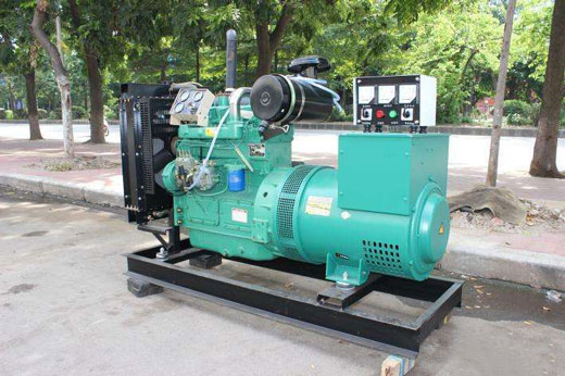 大竹发电机不发电的原因